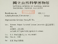 登錄號:F0021810藏品圖，第2張