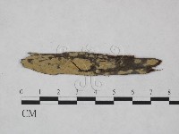 登錄號:F0021810藏品圖，第1張