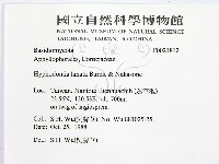 登錄號:F0021812藏品圖，第2張