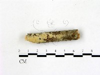 登錄號:F0021812藏品圖，第1張