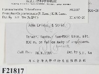 登錄號:F0021817藏品圖，第2張