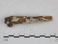 登錄號:F0021818藏品圖，第3張