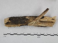 登錄號:F0021819藏品圖，第3張