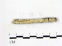 登錄號:F0021820藏品圖，第1張