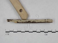 登錄號:F0021824藏品圖，第1張