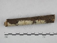 登錄號:F0021825藏品圖，第3張