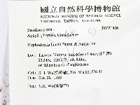 登錄號:F0021826藏品圖，第2張