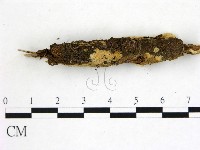 登錄號:F0021826藏品圖，第1張