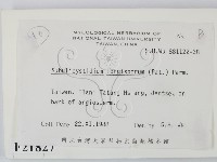 登錄號:F0021827藏品圖，第2張