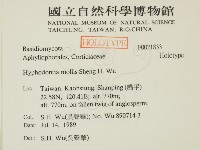 登錄號:F0021833藏品圖，第2張