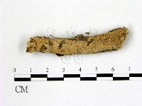 登錄號:F0021833藏品圖，第1張