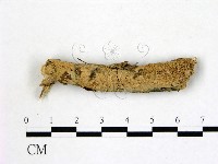 登錄號:F0021833藏品圖，第3張
