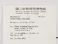 冇骨消絲齒菌藏品圖，第2張
