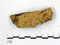 登錄號:F0021838藏品圖，第1張