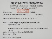登錄號:F0021839藏品圖，第2張