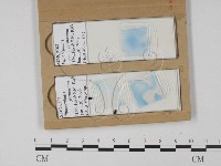 登錄號:F0021839藏品圖，第1張
