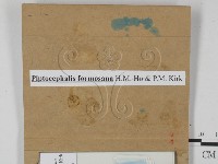登錄號:F0021839藏品圖，第3張