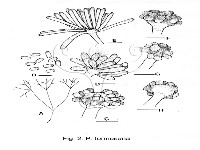登錄號:F0021839藏品圖，第5張