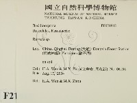 紅菇屬藏品圖，第2張