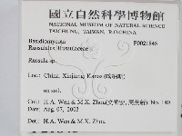 紅菇屬藏品圖，第2張