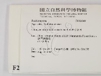 登錄號:F0021849藏品圖，第2張