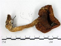 登錄號:F0021852藏品圖，第1張