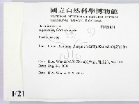 登錄號:F0021854藏品圖，第2張