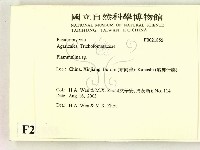 登錄號:F0021855藏品圖，第2張