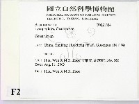 地星屬藏品圖，第2張