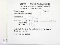 登錄號:F0021857藏品圖，第2張