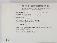 乳菇屬藏品圖，第2張