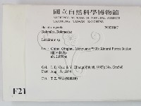 登錄號:F0021867藏品圖，第2張