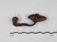 登錄號:F0021867藏品圖，第1張