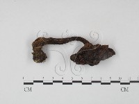 登錄號:F0021867藏品圖，第3張
