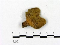 登錄號:F0021868藏品圖，第1張