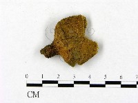 登錄號:F0021868藏品圖，第3張