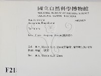 紅菇屬藏品圖，第2張