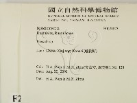紅菇屬藏品圖，第2張