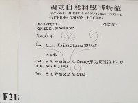 紅菇屬藏品圖，第2張