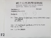 紅菇屬藏品圖，第2張