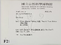 紅菇屬藏品圖，第2張