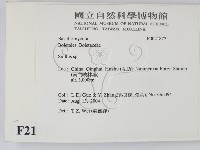 登錄號:F0021877藏品圖，第2張