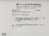 裂褶菌藏品圖，第2張