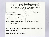 登錄號:F0021880藏品圖，第2張