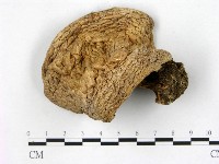 登錄號:F0021880藏品圖，第1張