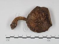 登錄號:F0021881藏品圖，第3張