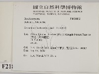 登錄號:F0021882藏品圖，第2張