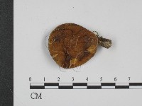 登錄號:F0021882藏品圖，第1張