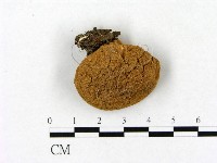 登錄號:F0021885藏品圖，第3張
