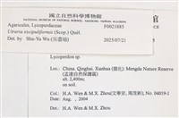 登錄號:F0021885藏品圖，第4張